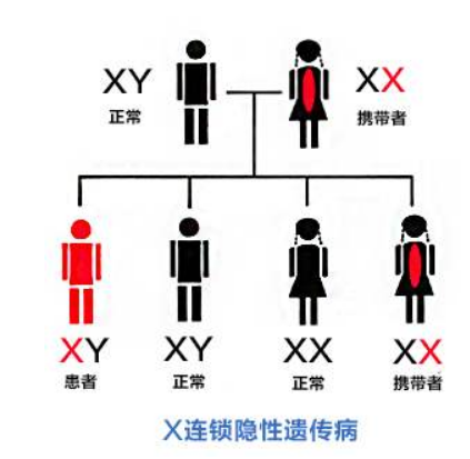 图片[1]DMD, 肌营养不良，肌肉萎缩，杜氏肌营养不良关于MDDMD, 肌营养不良，肌肉萎缩，杜氏肌营养不良至爱杜氏肌营养不良关爱中心