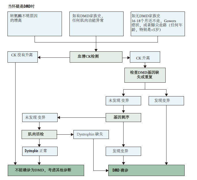 DMD家庭指南：03诊断时的护理DMD, 肌营养不良，肌肉萎缩，杜氏肌营养不良至爱杜氏肌营养不良关爱中心