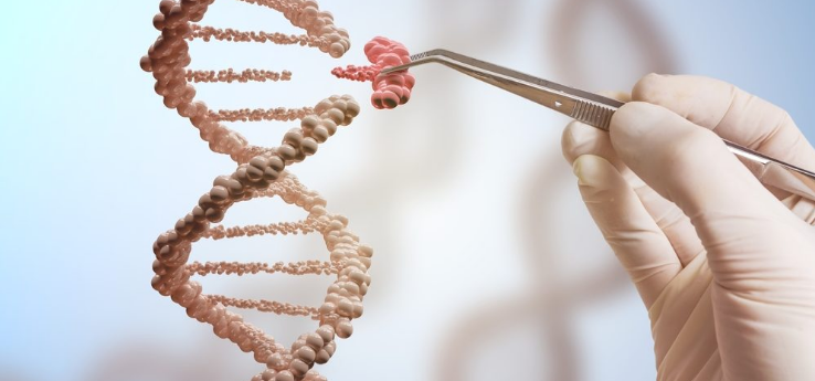 CureDuchenne Ventures投资达因公司的DMD治疗计划DMD, 肌营养不良，肌肉萎缩，杜氏肌营养不良至爱杜氏肌营养不良关爱中心