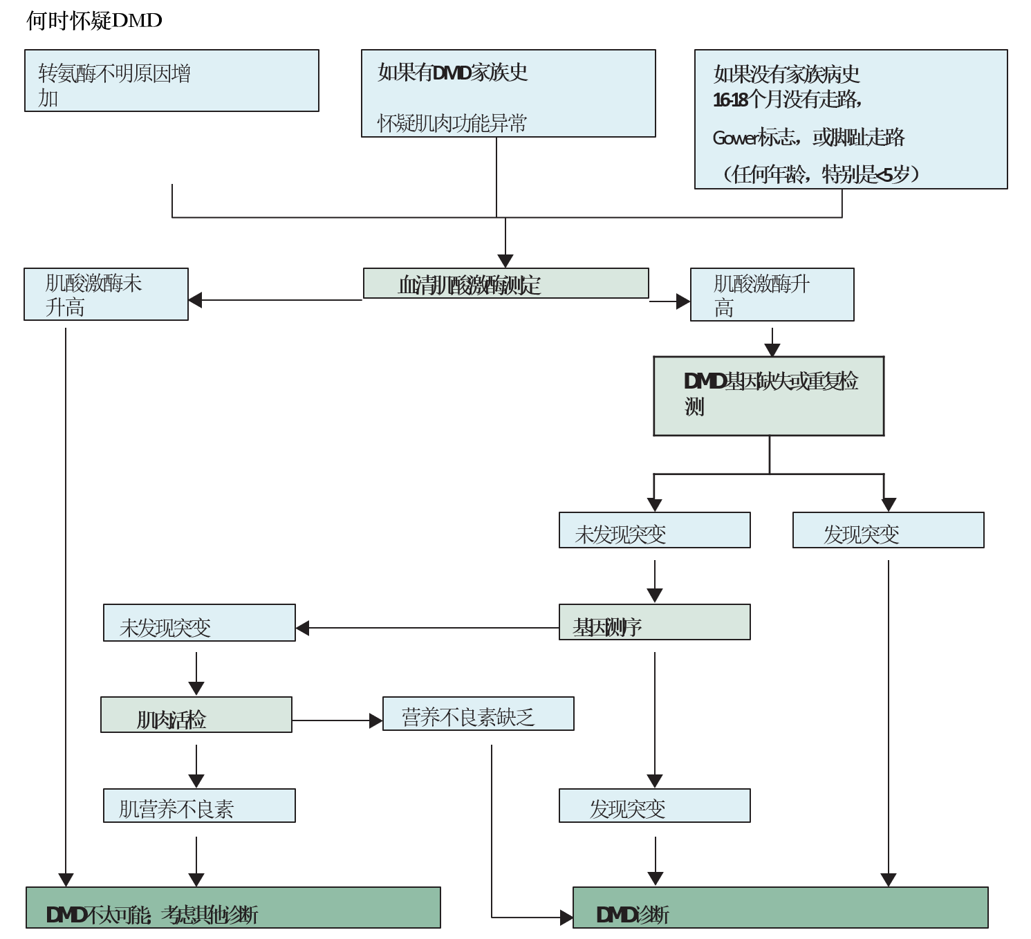 DMD诊断与管理-家庭指导第3章（诊断护理）DMD, 肌营养不良，肌肉萎缩，杜氏肌营养不良至爱杜氏肌营养不良关爱中心