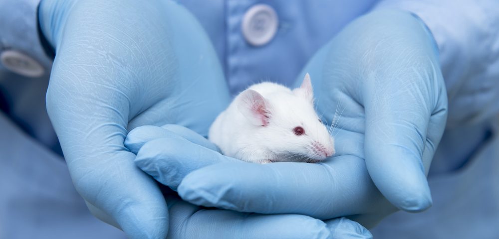 研究报告：新的CRISPR-Cas9递送方法改善DMD小鼠的肌肉功能DMD, 肌营养不良，肌肉萎缩，杜氏肌营养不良至爱杜氏肌营养不良关爱中心